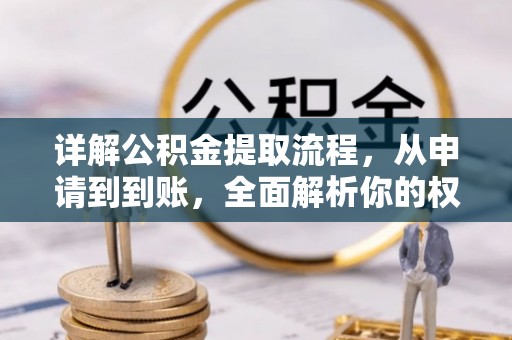 仪陇详解公积金提取流程，从申请到到账，全面解析你的权益与操作步骤